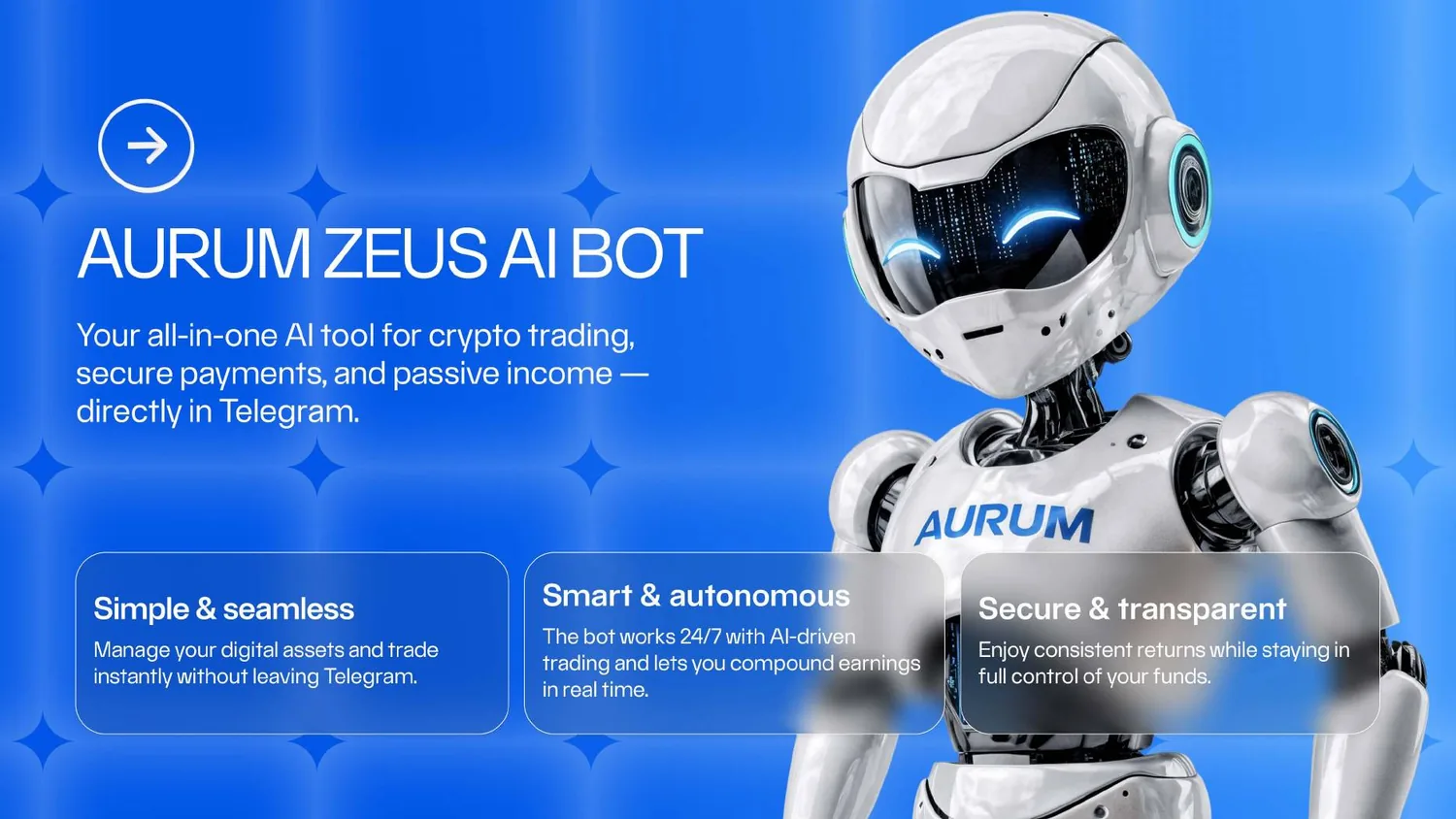 Aurum Guest Presentation, pp. 41-42